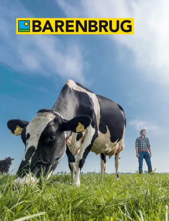 baren-sklep.webp
