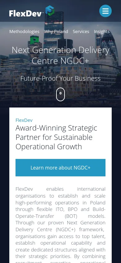 Strona główna flexdevgroup.com na telefonie