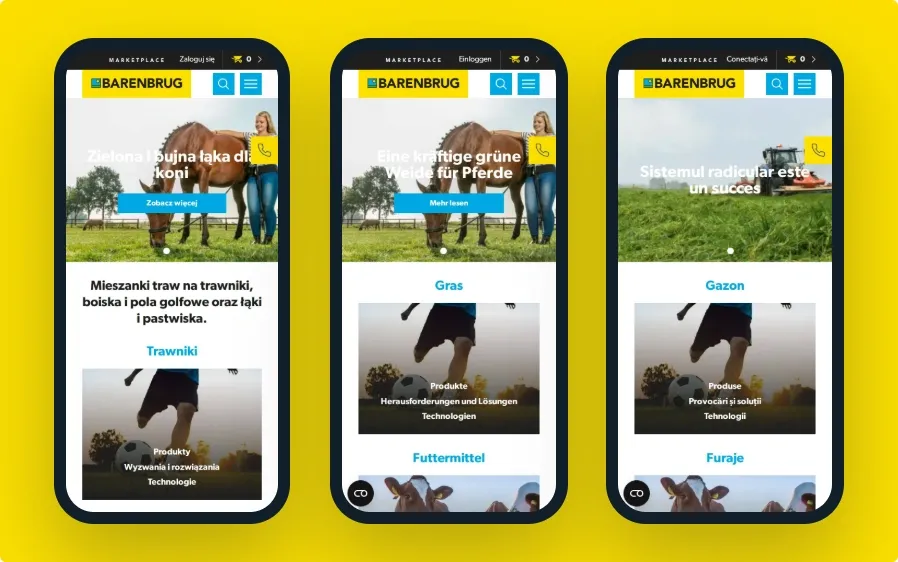 barenbrug.pl, barenbrug.de i barenbrug.ro na telefonach: jedna platforma, trzy wersje językowe