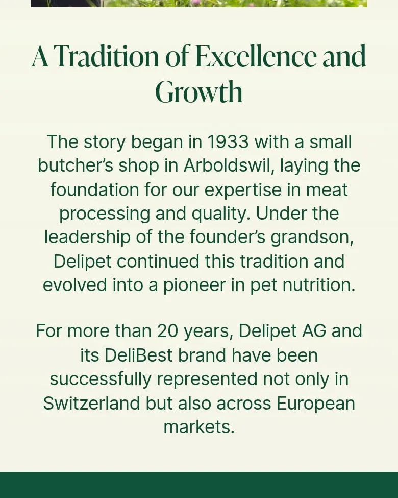 Sekcja „A Tradition of Excellence and Growth” na podstronie „About Us” na telefonie