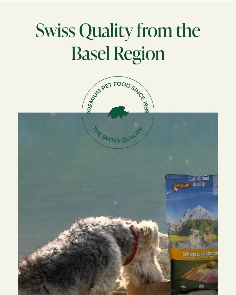 Sekcja „Swiss Quality from the Basel Region” na telefonie