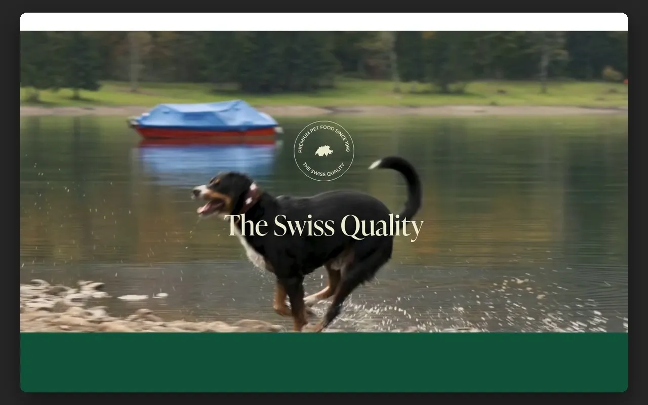 Sekcja „The Swiss Quality” z filmem na stronie głównej delipet.com