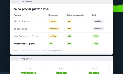 Ilustracja: koszt sklepu internetowego przez 3 lata – platforma abonamentowa, WooCommerce i własny silnik bez abonamentu