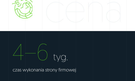 Ilustracja: czas wykonania strony firmowej 4–6 tygodni i 12 miesięcy gwarancji