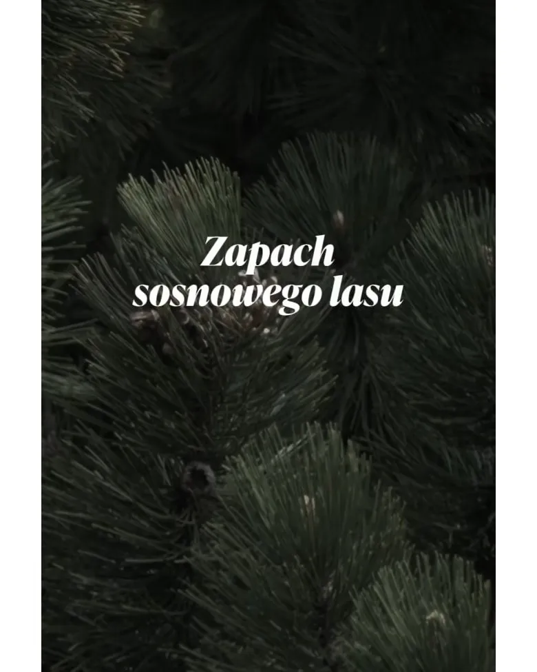 Sekcja „Zapach sosnowego lasu” na stronie głównej montecassino-apartments.pl na telefonie