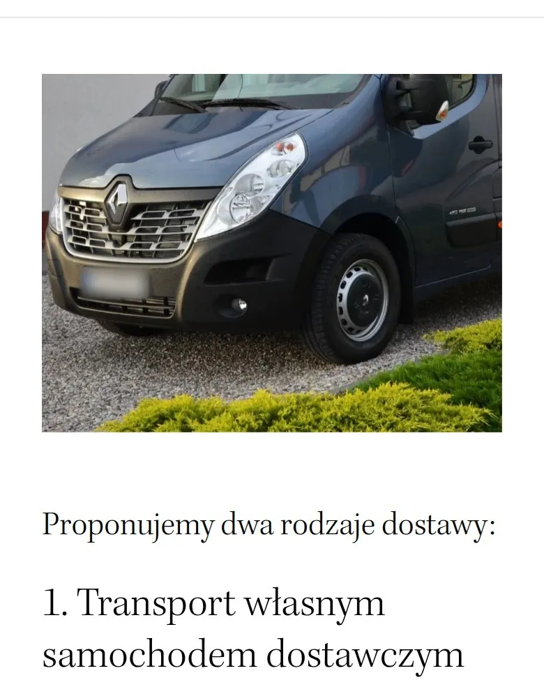 Podstrona „Transport mebli” z rodzajami dostawy na telefonie