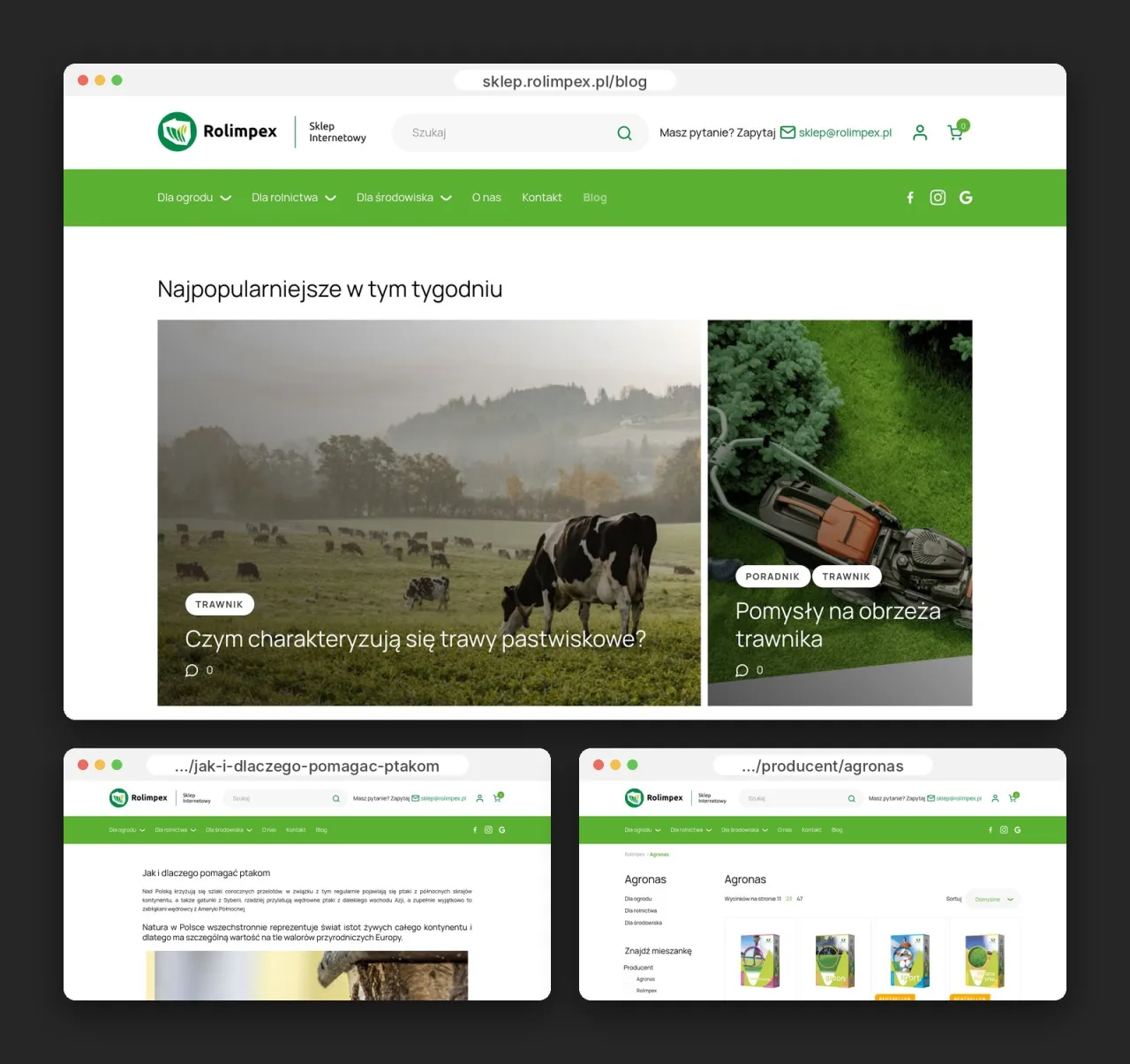 Blog, poradnik „Jak i dlaczego pomagać ptakom” i strona marki Agronas w sklepie Rolimpex