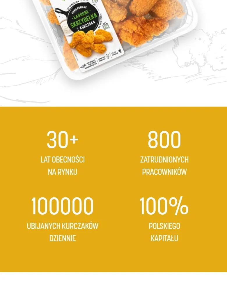 Liczby firmy na stronie głównej, wersja mobilna
