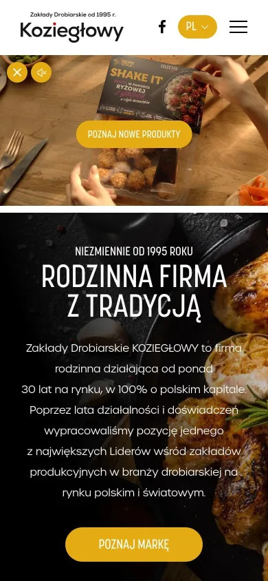zd-kozieglowy.pl na telefonie