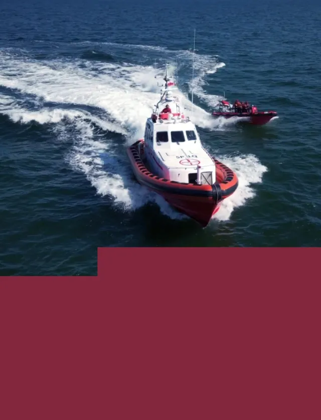 sar-gov-pl (1).webp